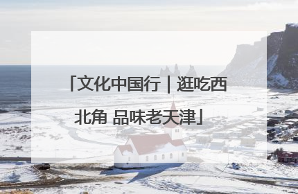 文化中国行｜逛吃西北角 品味老天津