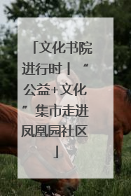 文化书院进行时丨“公益+文化”集市走进凤凰园社区