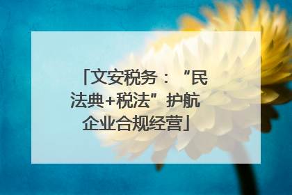 文安税务：“民法典+税法”护航企业合规经营