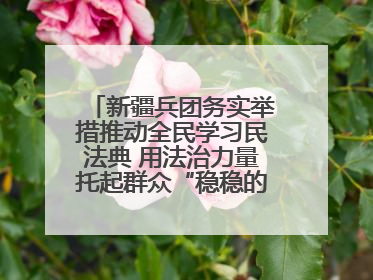 新疆兵团务实举措推动全民学习民法典 用法治力量托起群众“稳稳的幸福”