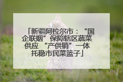 新疆阿拉尔市：“国企联姻”保障辖区蔬菜供应 “产供销”一体托稳市民菜篮子