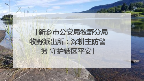 新乡市公安局牧野分局牧野派出所：深耕主防警务 守护辖区平安