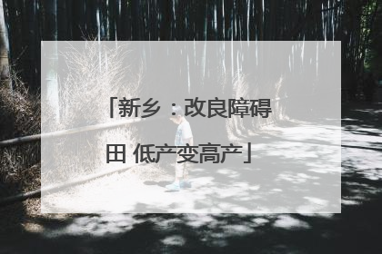 新乡：改良障碍田 低产变高产