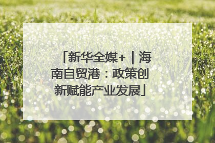 新华全媒+｜海南自贸港：政策创新赋能产业发展