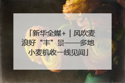 新华全媒+｜风吹麦浪好“丰”景——多地小麦机收一线见闻