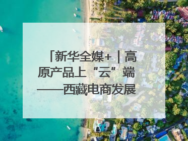 新华全媒+｜高原产品上“云”端——西藏电商发展一线观察