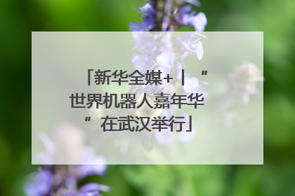 新华全媒+丨“世界机器人嘉年华”在武汉举行