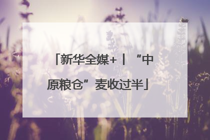 新华全媒+丨“中原粮仓”麦收过半