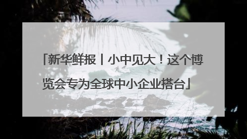 新华鲜报丨小中见大！这个博览会专为全球中小企业搭台