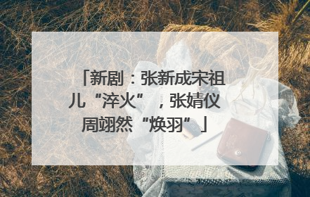 新剧：张新成宋祖儿“淬火”，张婧仪周翊然“焕羽”