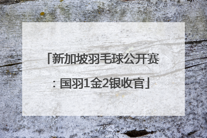 新加坡羽毛球公开赛：国羽1金2银收官