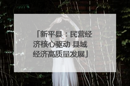 新平县：民营经济核心驱动 县域经济高质量发展