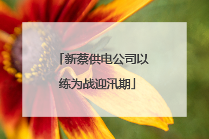 新蔡供电公司以练为战迎汛期