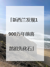 新西兰发现1900万年前喜鹊祖先化石