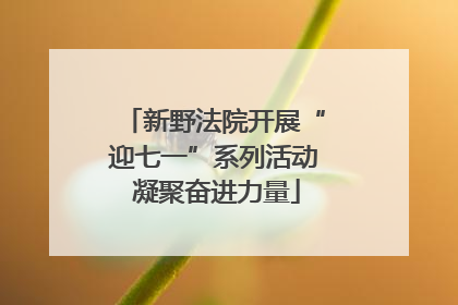 新野法院开展“迎七一”系列活动 凝聚奋进力量