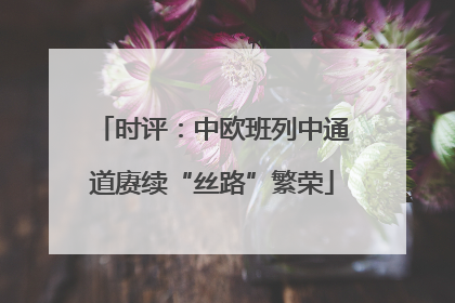 时评：中欧班列中通道赓续“丝路”繁荣