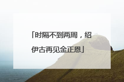 时隔不到两周，绍伊古再见金正恩