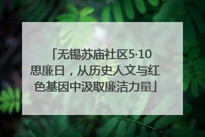 无锡苏庙社区5·10思廉日，从历史人文与红色基因中汲取廉洁力量