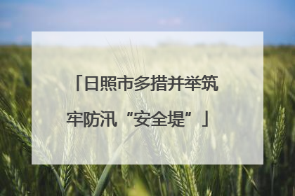 日照市多措并举筑牢防汛“安全堤”