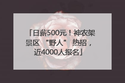 日薪500元！神农架景区 “野人” 热招，近4000人报名