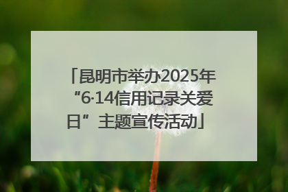昆明市举办2025年“6·14信用记录关爱日”主题宣传活动