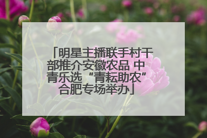 明星主播联手村干部推介安徽农品 中青乐选“青耘助农”合肥专场举办