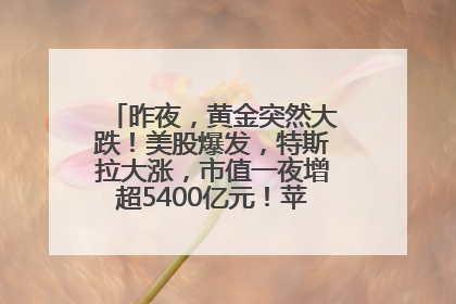 昨夜，黄金突然大跌！美股爆发，特斯拉大涨，市值一夜增超5400亿元！苹果传来大消息