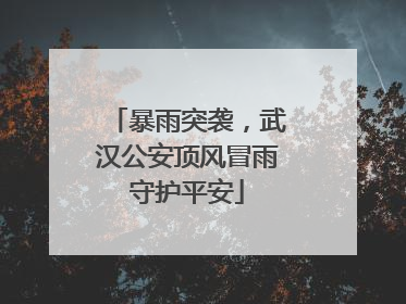 暴雨突袭，武汉公安顶风冒雨守护平安