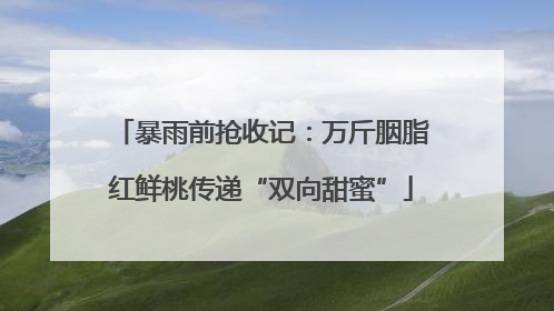 暴雨前抢收记：万斤胭脂红鲜桃传递“双向甜蜜”