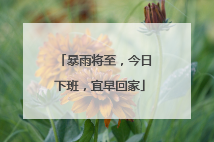 暴雨将至，今日下班，宜早回家