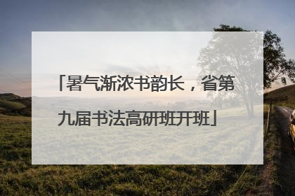 暑气渐浓书韵长，省第九届书法高研班开班