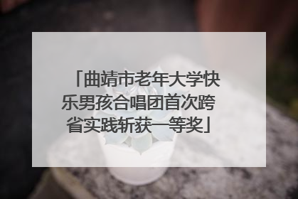 曲靖市老年大学快乐男孩合唱团首次跨省实践斩获一等奖