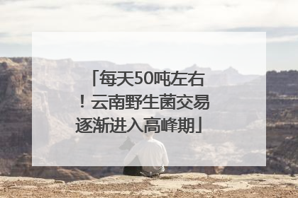 每天50吨左右！云南野生菌交易逐渐进入高峰期