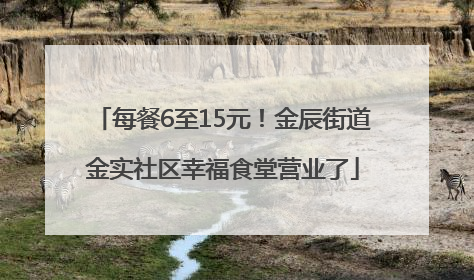 每餐6至15元！金辰街道金实社区幸福食堂营业了