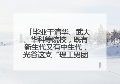 毕业于清华、武大、华科等院校，既有新生代又有中生代，光谷这支“理工男团”为何“出道”？