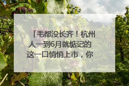 毛都没长齐！杭州人一到6月就惦记的这一口悄悄上市，你打算尝鲜吗？