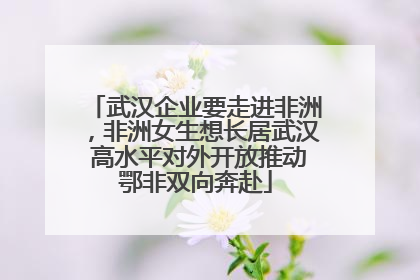 武汉企业要走进非洲，非洲女生想长居武汉 高水平对外开放推动鄂非双向奔赴