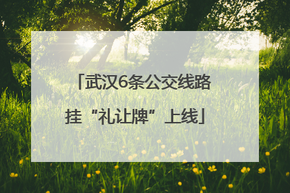 武汉6条公交线路挂“礼让牌”上线