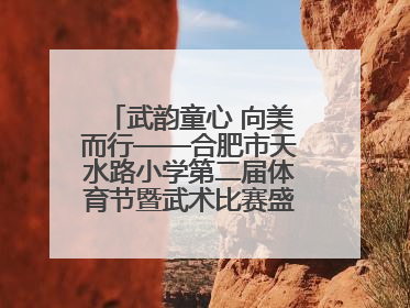武韵童心 向美而行——合肥市天水路小学第二届体育节暨武术比赛盛大开幕