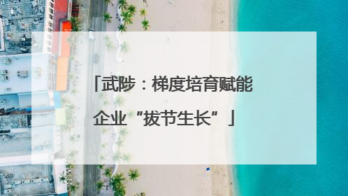 武陟：梯度培育赋能企业“拔节生长”