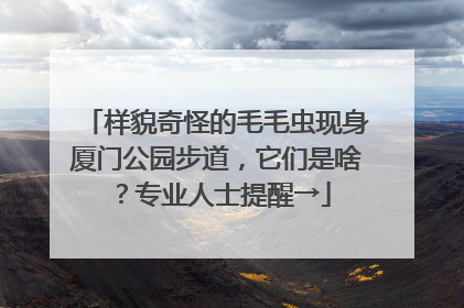 样貌奇怪的毛毛虫现身厦门公园步道，它们是啥？专业人士提醒→