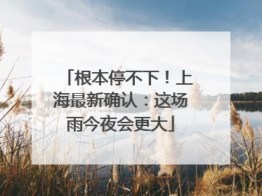根本停不下！上海最新确认：这场雨今夜会更大