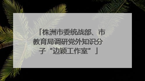 株洲市委统战部、市教育局调研党外知识分子“边颖工作室”