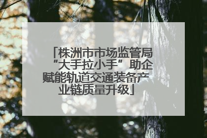 株洲市市场监管局“大手拉小手”助企赋能轨道交通装备产业链质量升级