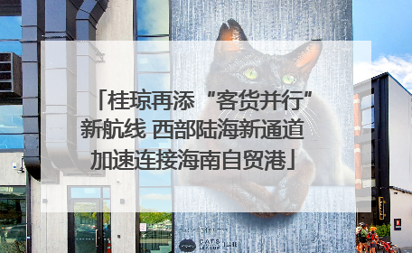 桂琼再添“客货并行”新航线 西部陆海新通道加速连接海南自贸港