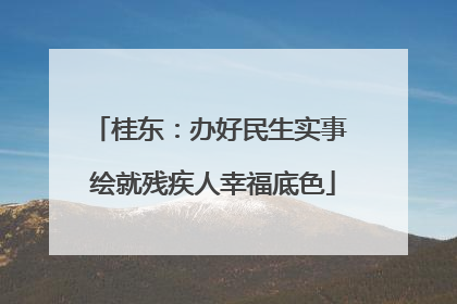 桂东：办好民生实事 绘就残疾人幸福底色