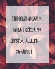 桐柏县淮源镇：聚焦民生实事 激发人大工作新动能