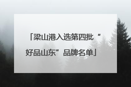 梁山港入选第四批“好品山东”品牌名单