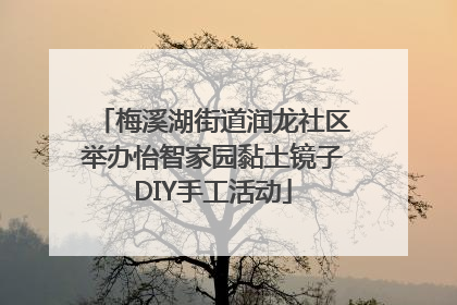 梅溪湖街道润龙社区举办怡智家园黏土镜子DIY手工活动