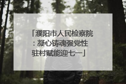 濮阳市人民检察院：凝心铸魂强党性 驻村赋能迎七一